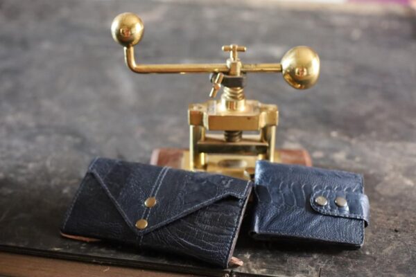 Purse / Wallet Blue