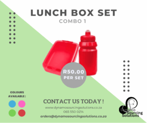 Lunch Box Combo 1