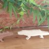 Crocodile wood carving WC004