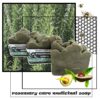 ROSEMARY CARE MEDICINAL SOAP